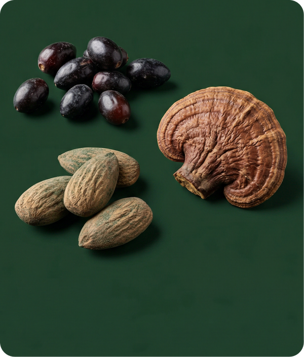 Vitaminas & Minerais